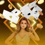 브라보벳 가입코드 완벽 가이드와 활용 전략